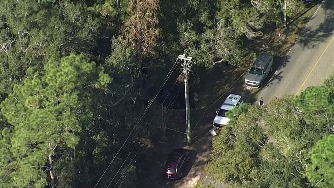 Body found in Westchase area - Vimarsana News