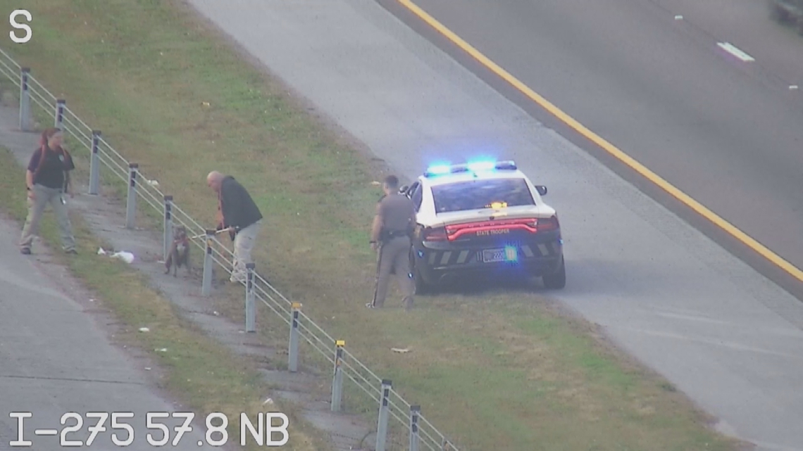 Florida Highway Patrol trooper seen trying to assist stray dog on I-275