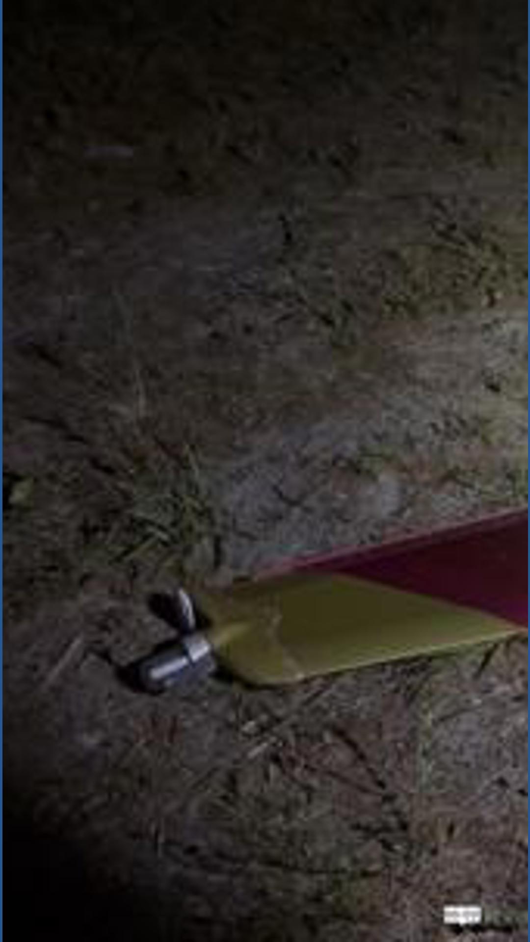 In an update, Manatee County deputies identified the pilot as 63-year-old Issac Moore.