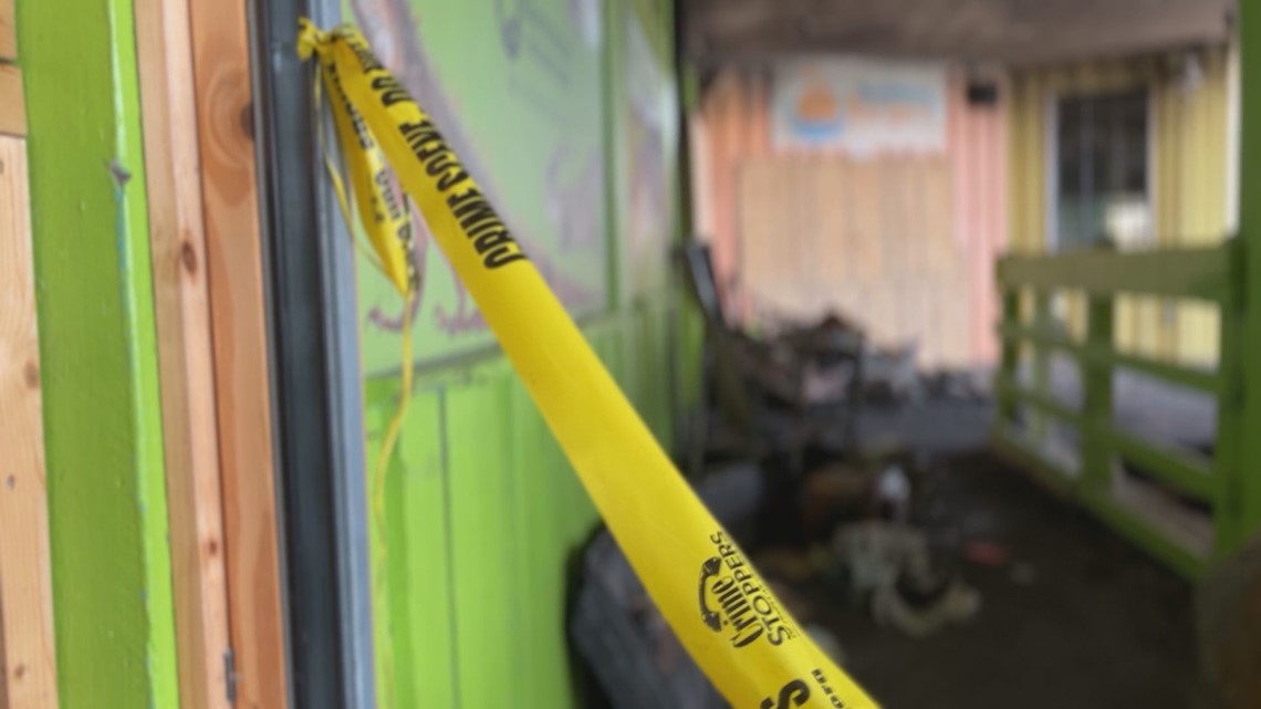 Amid tragic fire, Tampa Bay wildlife center opens temporary place - Vimarsana News