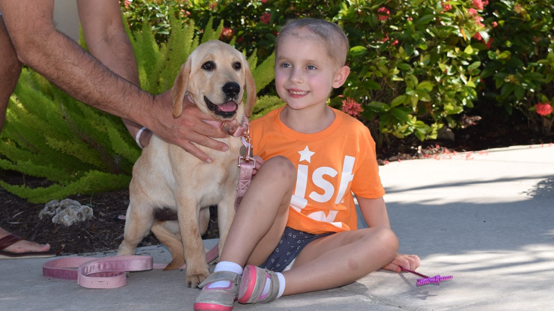 Make-A-Wish gifts 6-year-old Sarasota girl a new puppy - Vimarsana News
