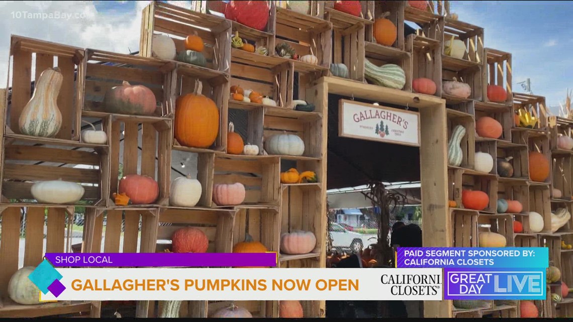 Host Help: A look inside Gallagher's Pumpkins - Vimarsana News
