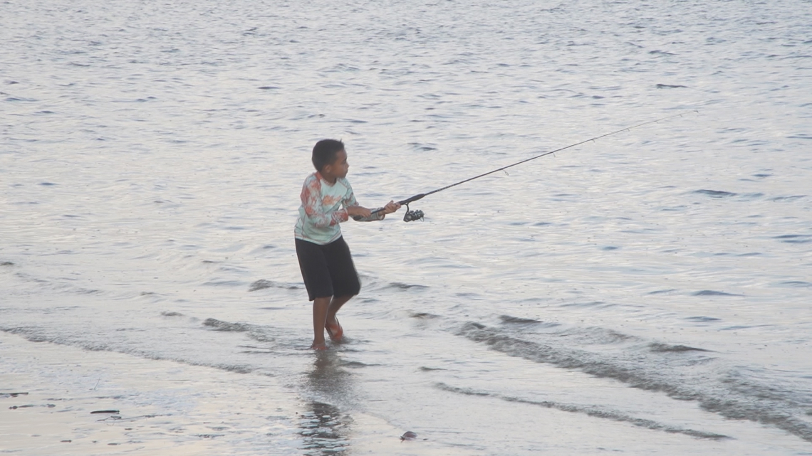 Tests show high levels of fecal matter in Manatee River | wtsp.com