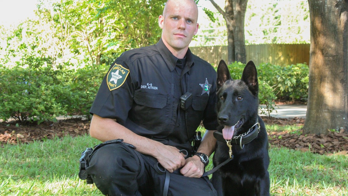 Beloved Pinellas County deputy K9 passes away - Vimarsana News