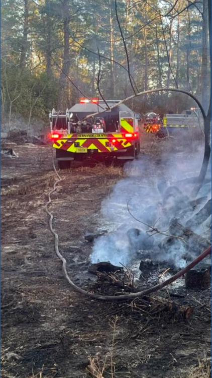 Firefighters in Hernando County have put out 45 brush fires in just 1 ...