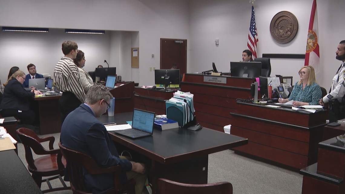 USF pro-Palestine protester enters a not guilty plea - Vimarsana News