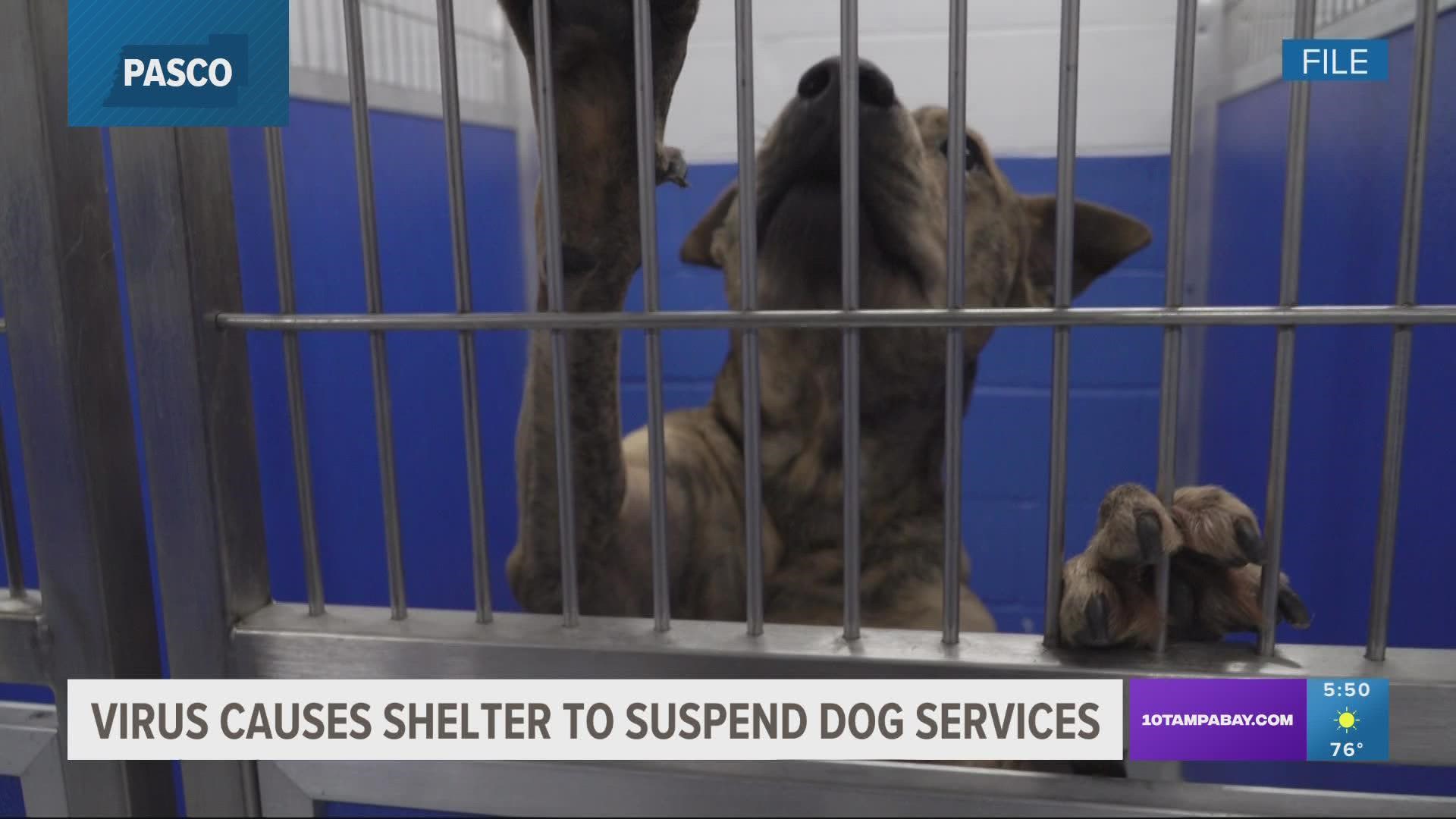 The shelter is expected to resume operations in about two weeks or when veterinarians determine the environment is safe for pets.