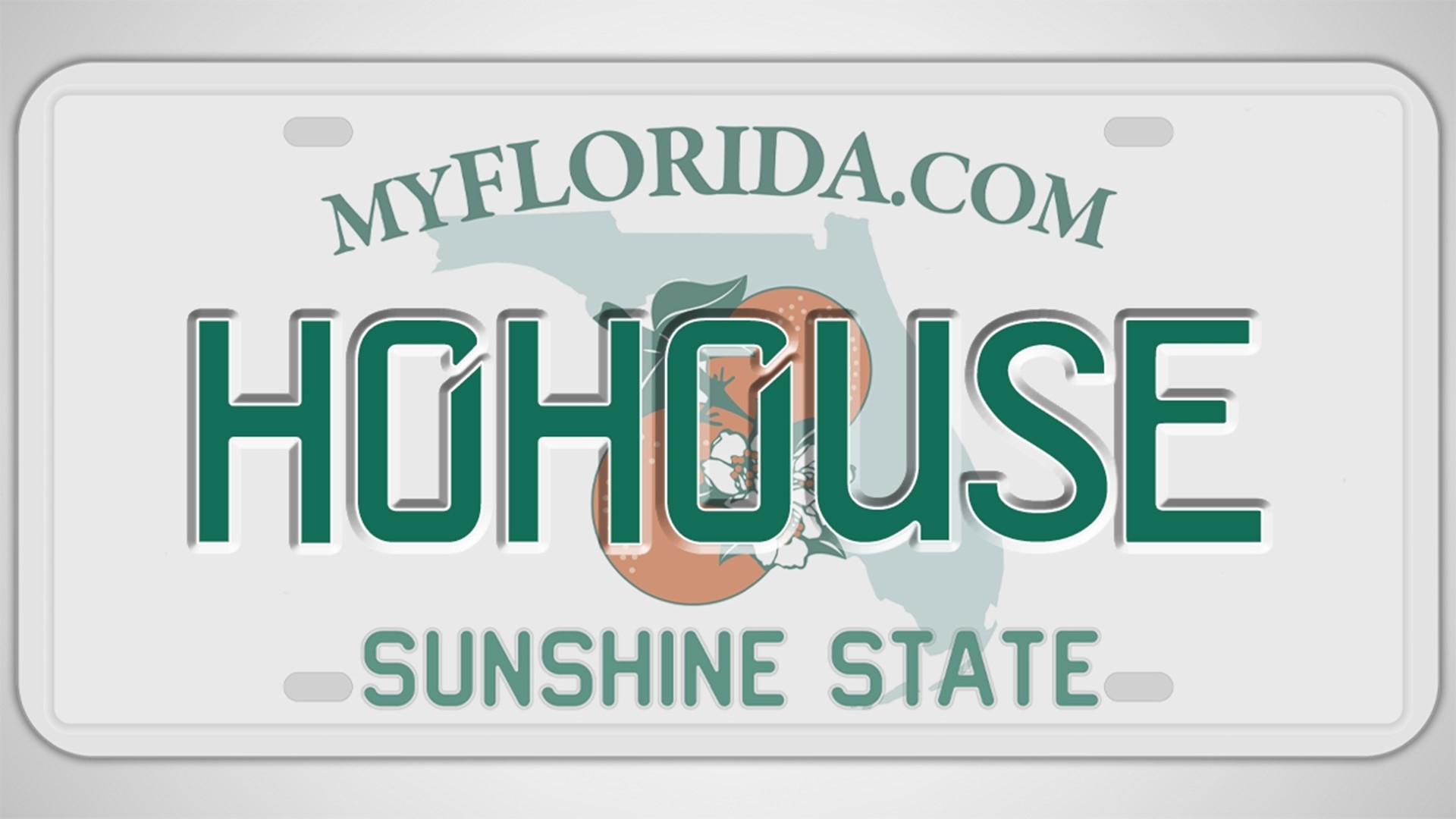 See list of rejected Florida license plates in 2023 | wtsp.com