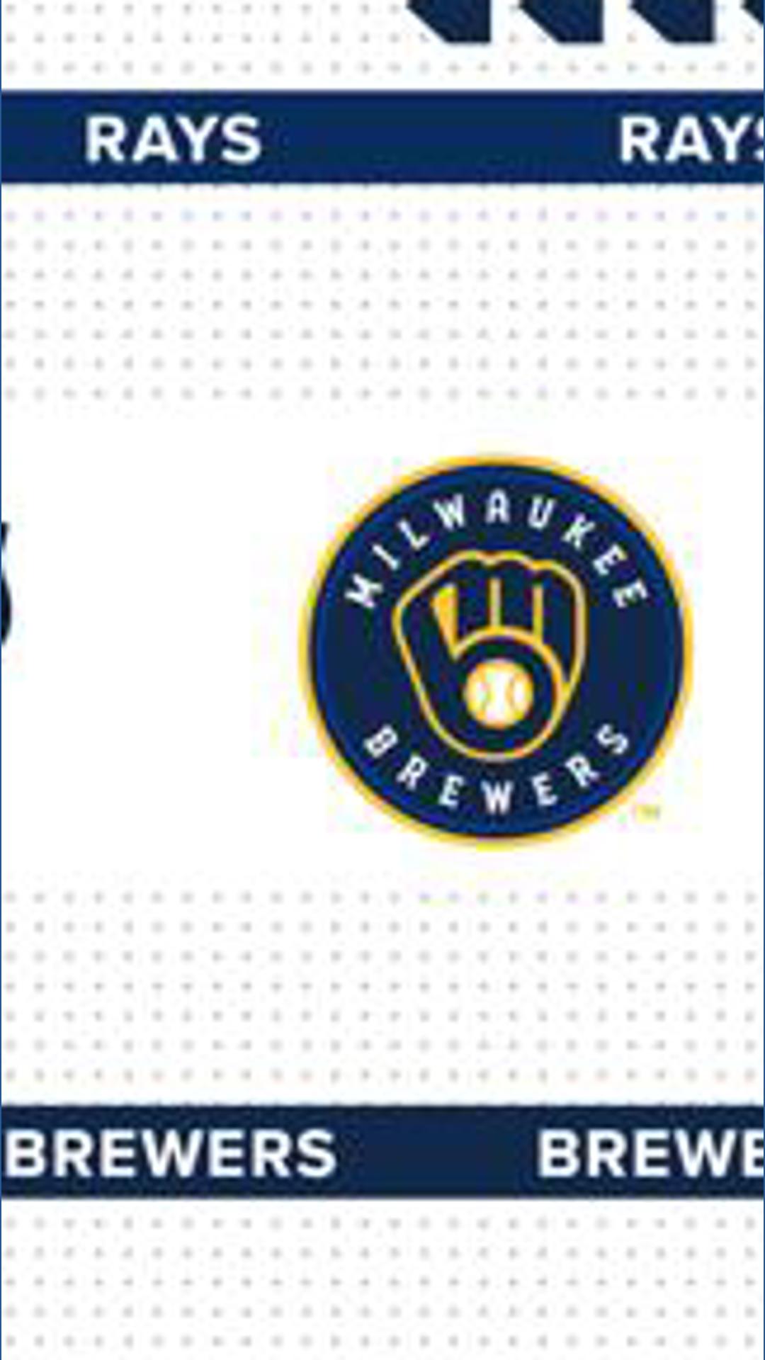 Rays return to Tampa Bay for World Series Game 3 | wtsp.com