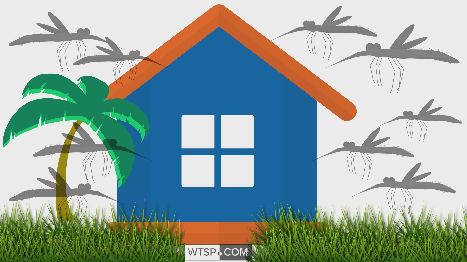 Four things you can do to limit mosquitoes outside of your home. https://on.wtsp.com/2L9iZYl