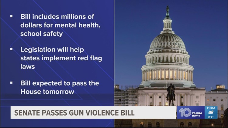 Senate passes landmark gun violence bill, House passage is next
