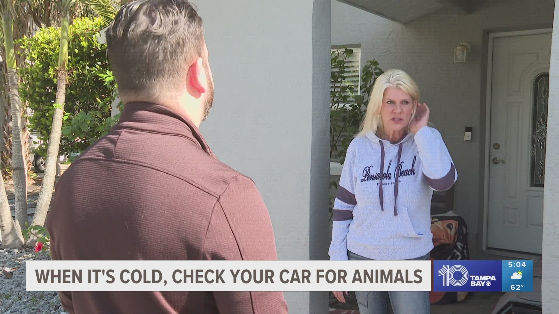 When the weather drops, small animals might try and find warmth, under and around your vehicle.