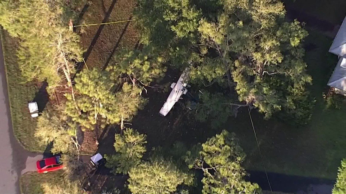 Plane crashes into trees in Hernando, 2 people hospitalized | wtsp.com