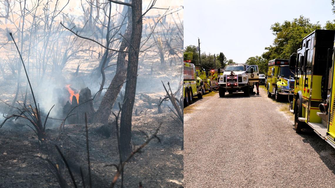 1 person in critical condition after large brush fire in Lithia