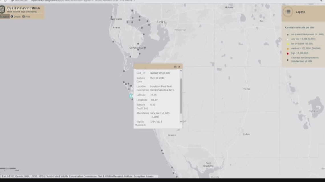 Very low amount of red tide shows up in Sarasota Bay | 10News WTSP