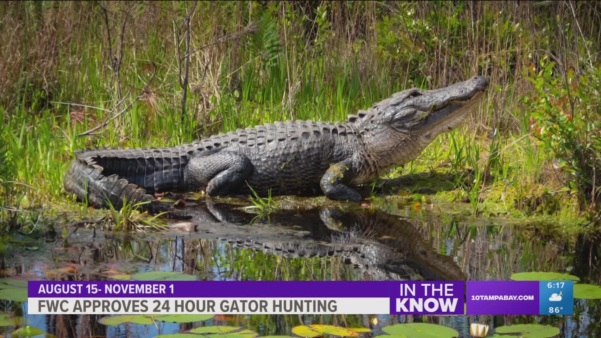 FWC changes allow 24-hour alligator hunting in Florida
