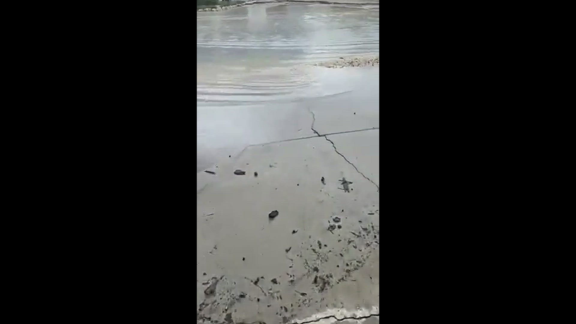 A flooded street in Anna Maria Island after a Friday afternoon storm.
Credit: Mark