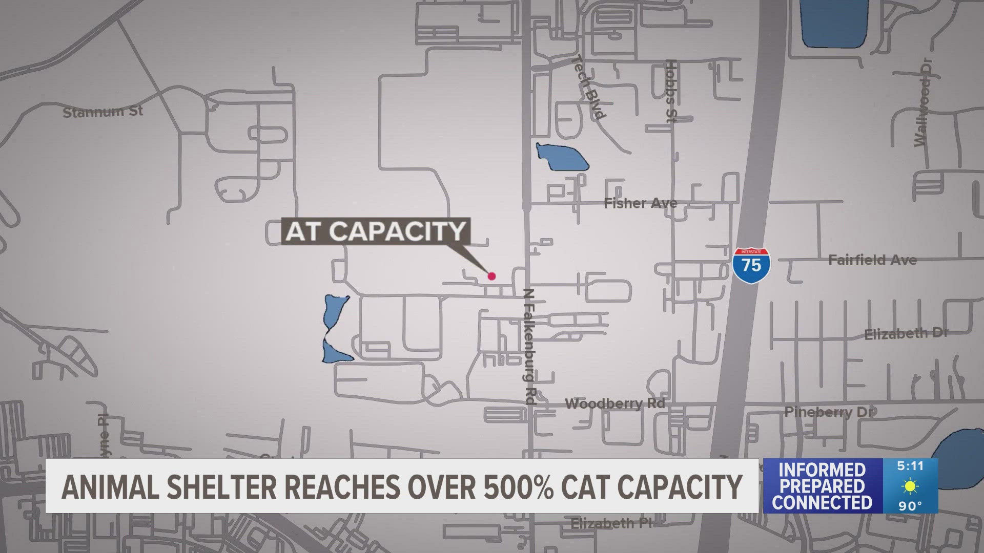 The shelter is over 500% capacity for cats and over 130% capacity for dogs.