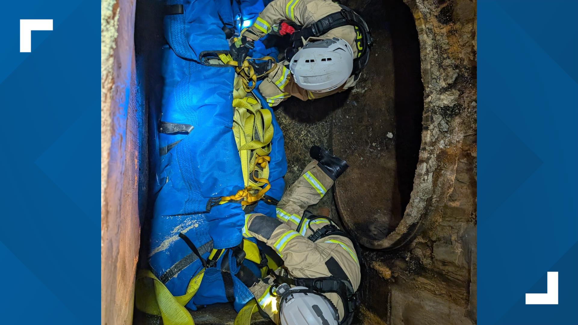 Manatee trapped in storm drain near Florida beach rescued | wtsp.com