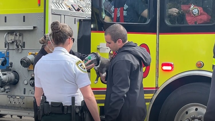 Firefighters help residents save trapped exotic pets from Tampa house fire
