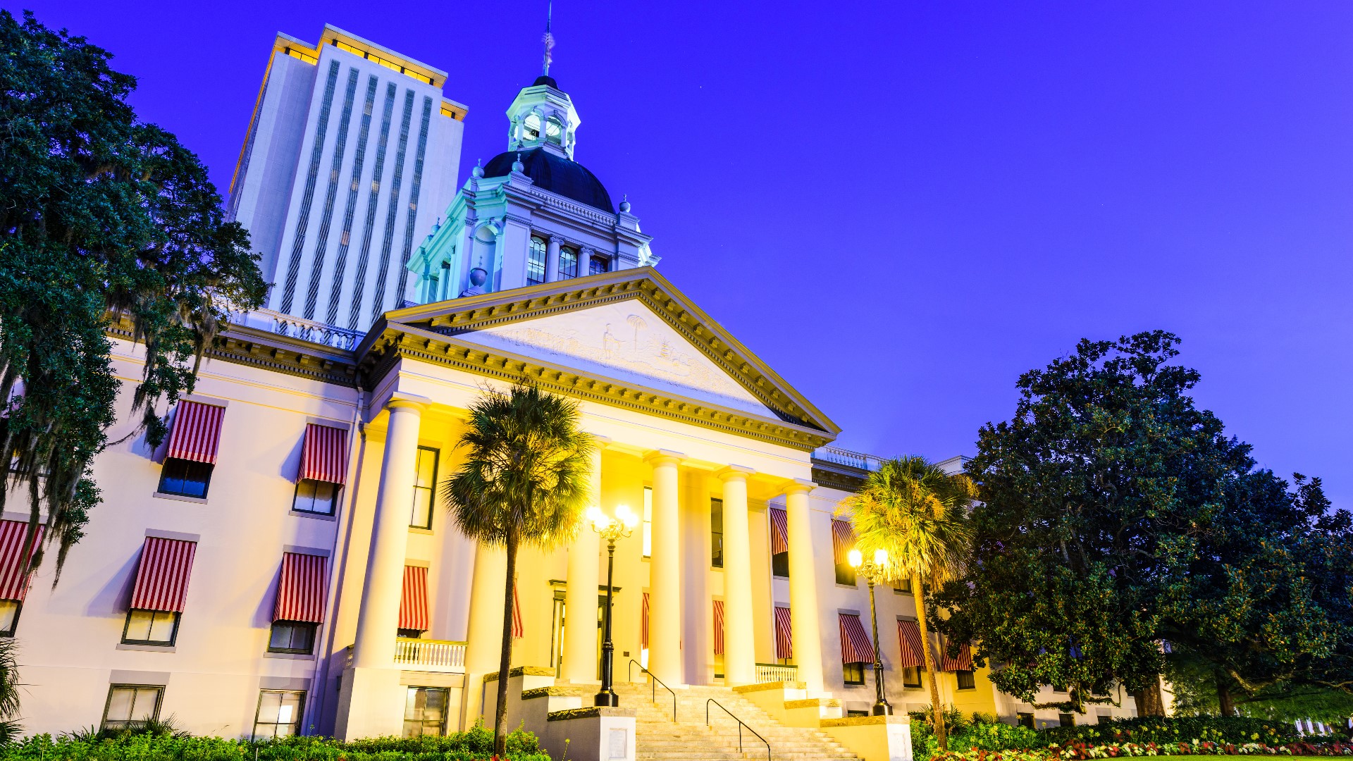 Florida Legislature Bills 2024 Bonni Christi