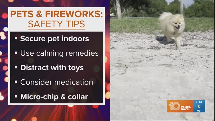 How to help your pets deal with fireworks
