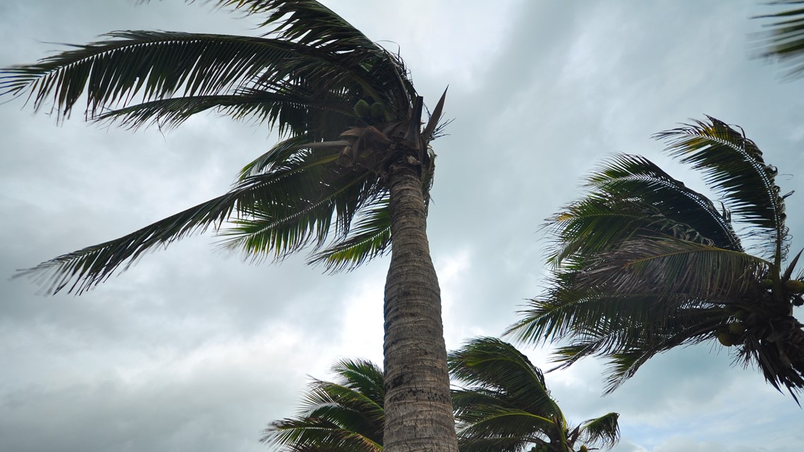 Colorado State University releases forecast for 2024 Atlantic hurricane season