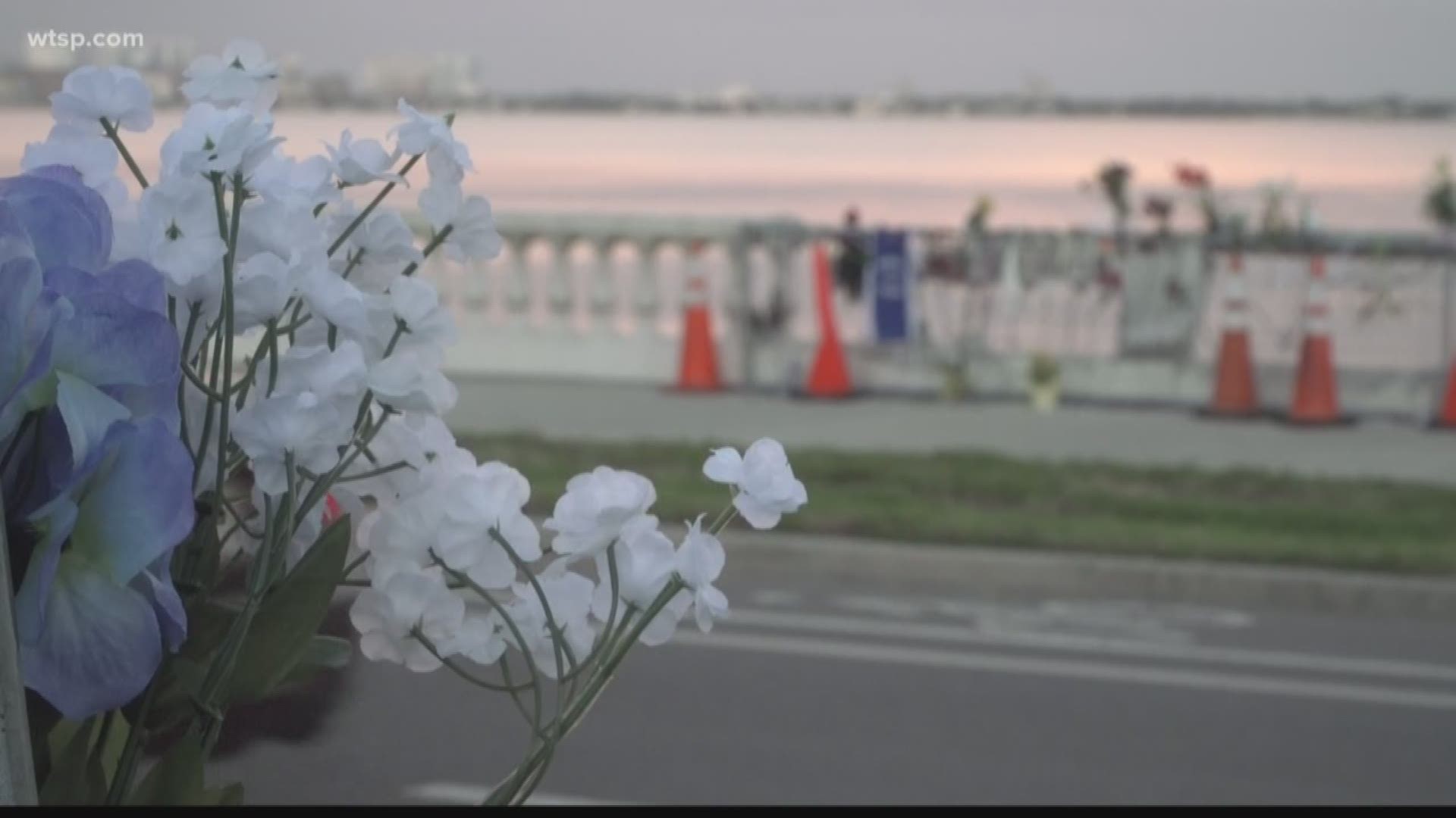Continued calls for safety improvements along Bayshore Boulevard has led to an interesting solution, but does it have a future?