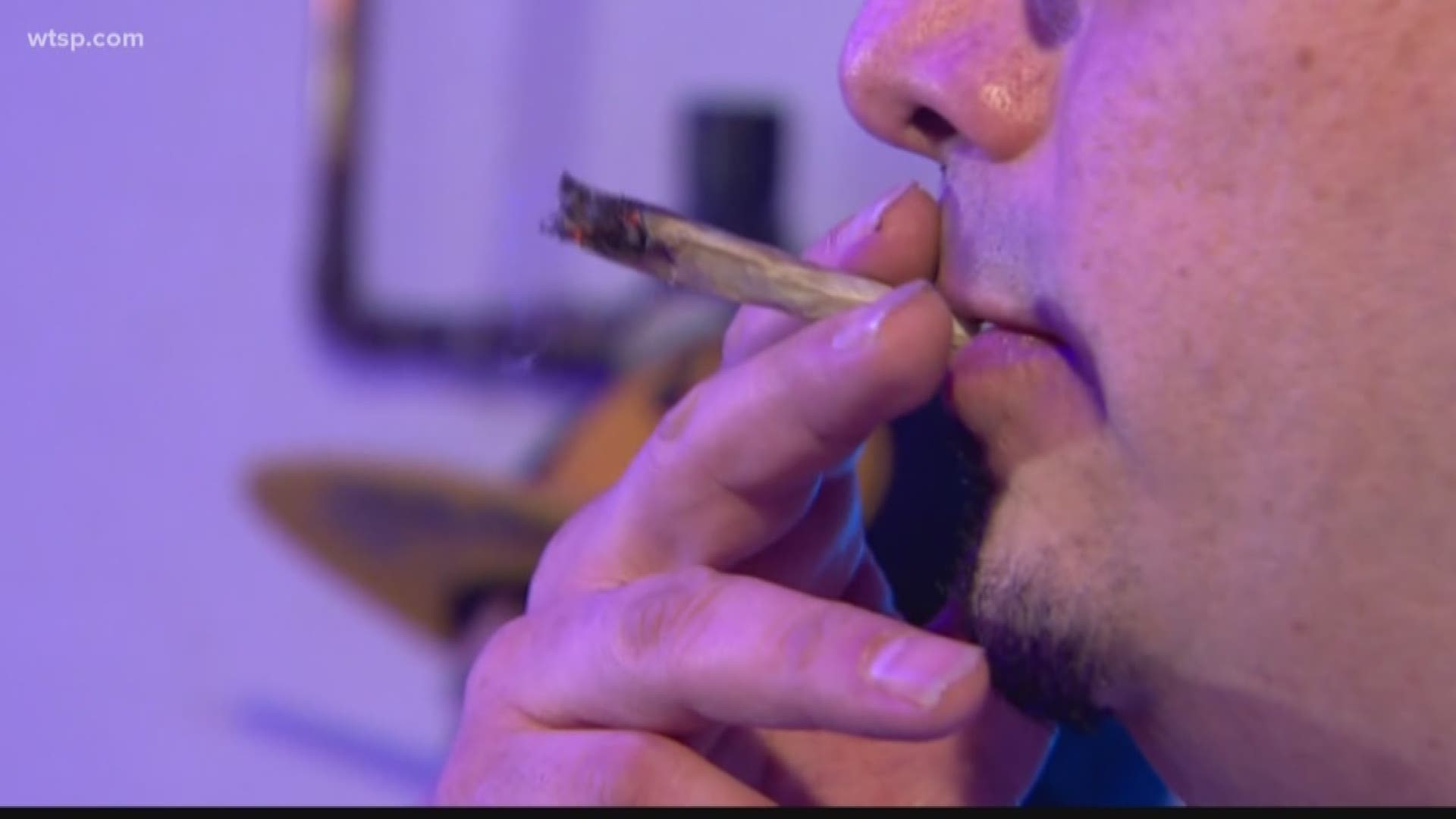 The city of Sarasota has decriminalized marijuana possession for less than 20 grams of the illegal drug. 

City commissioners passed the ordinance with a unanimous 5-0 vote Tuesday night.

Under the ordinance, anyone caught with less than 20 grams will receive a civil citation of a $100 fine or 10 hours of community service.