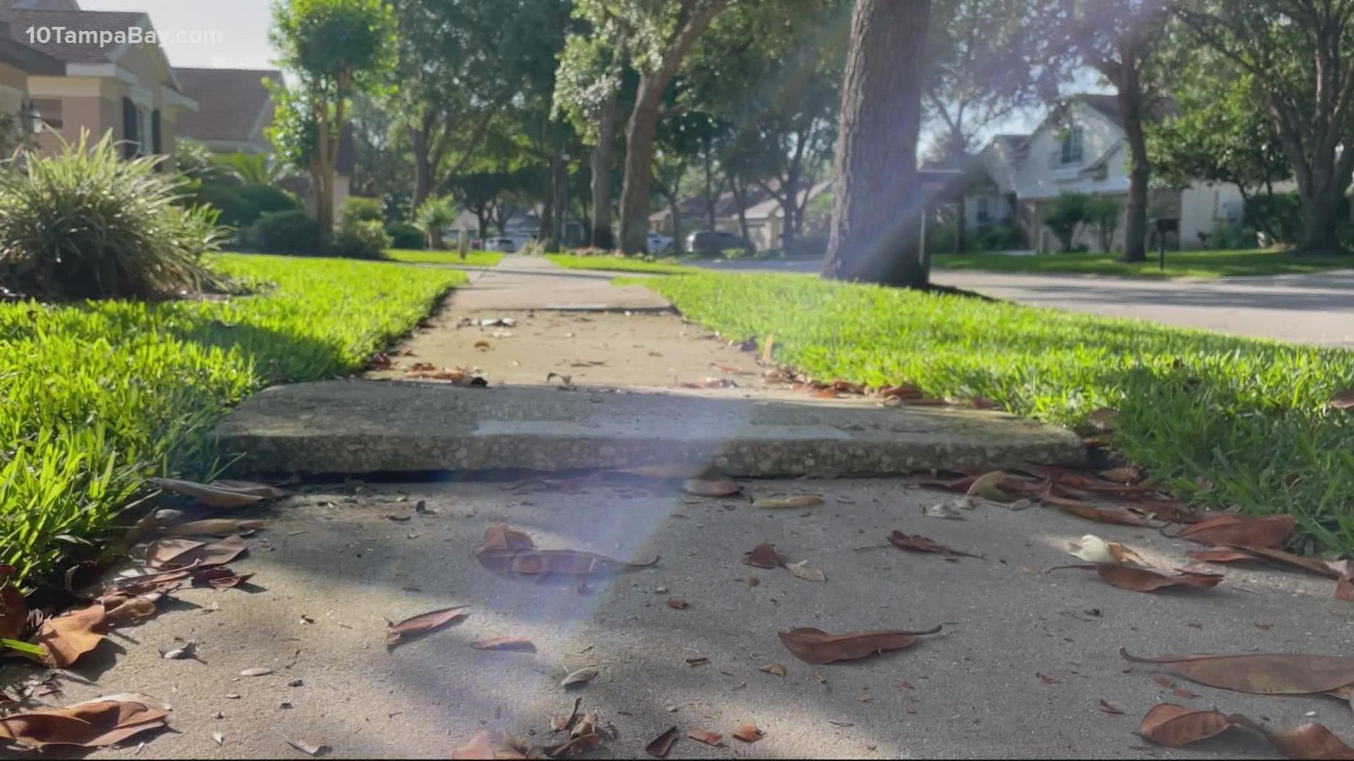 Hillsborough County has a backlog of requests to fix cracked and lifted sidewalks.