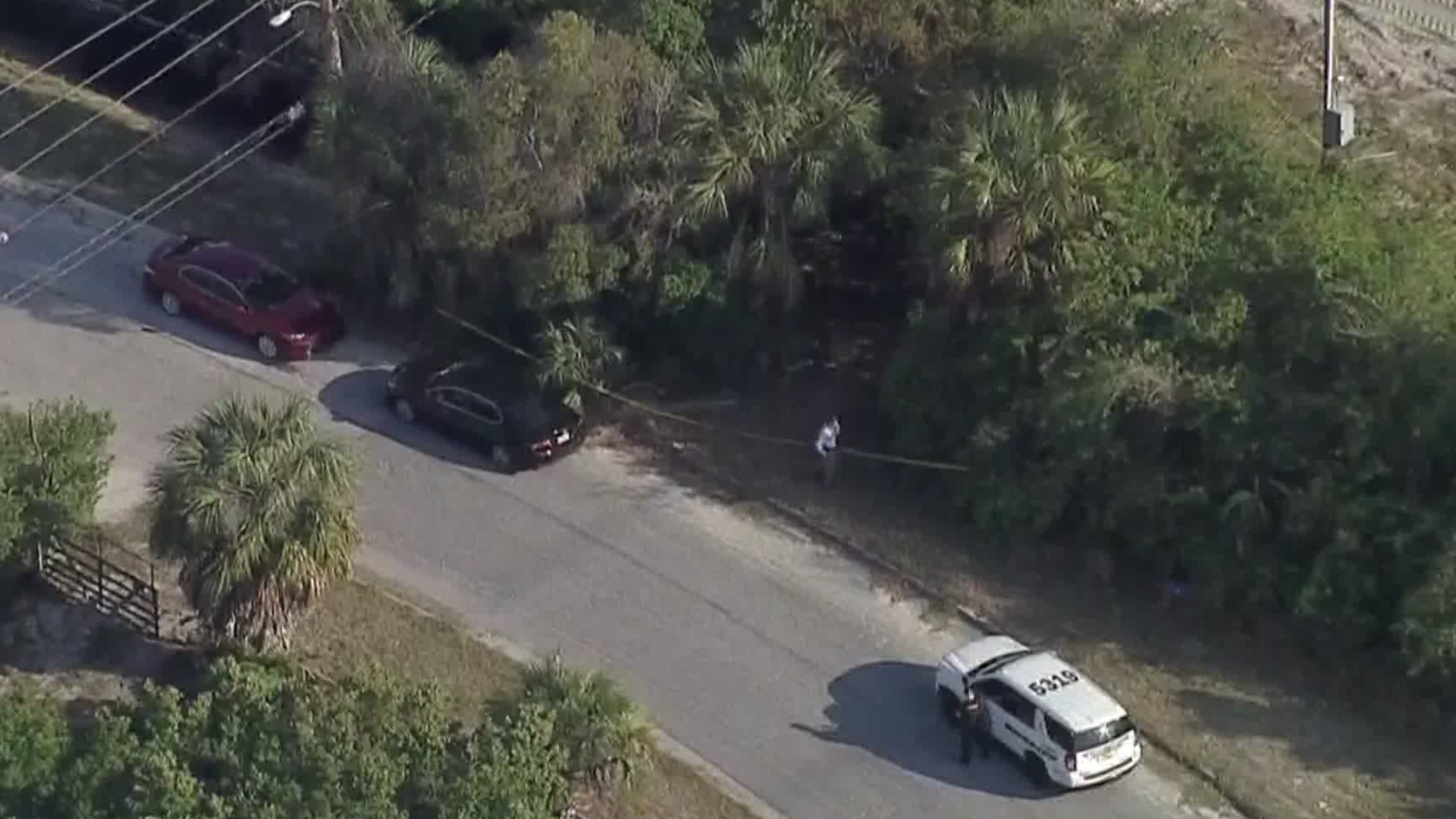 Pasco Deputies Investigate Homicide After Body Found In Holiday | Wtsp.com