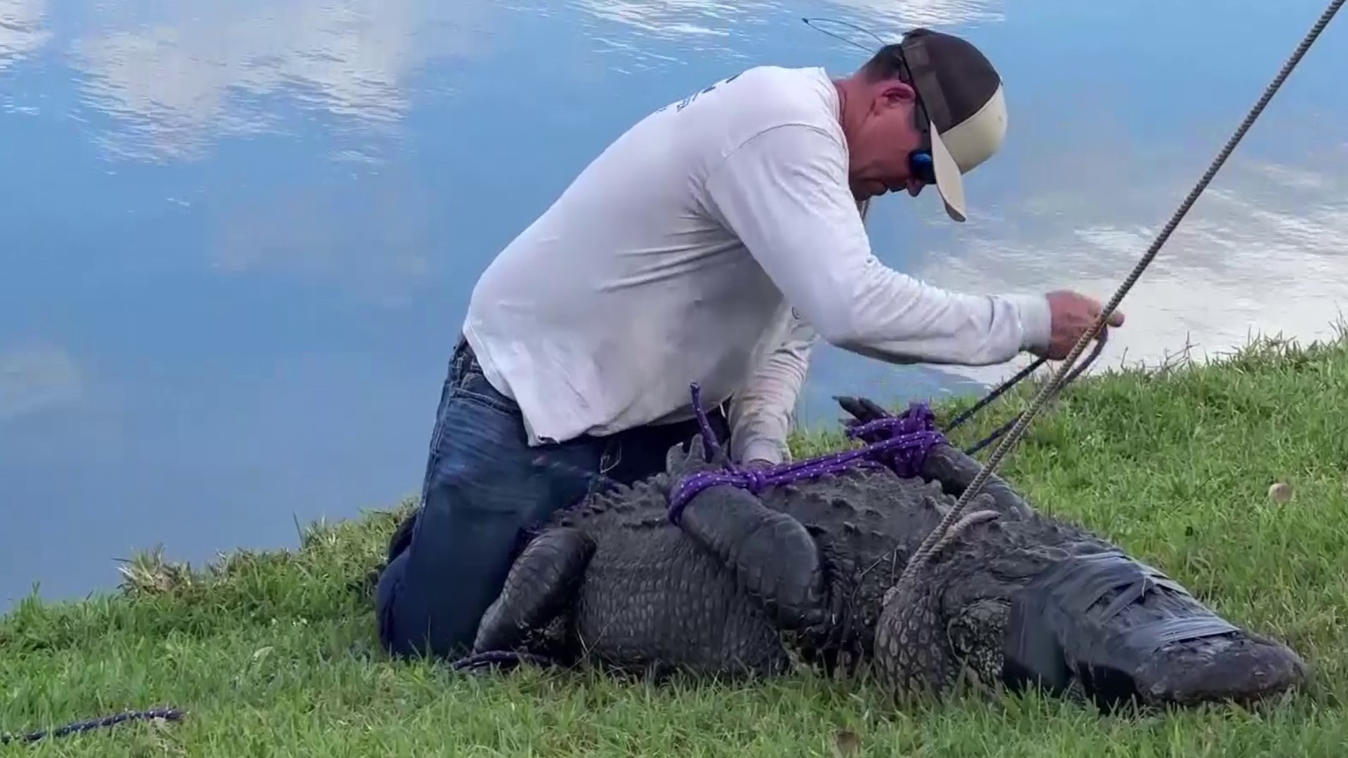 Family of Florida woman killed by alligator sues housing company | wtsp.com