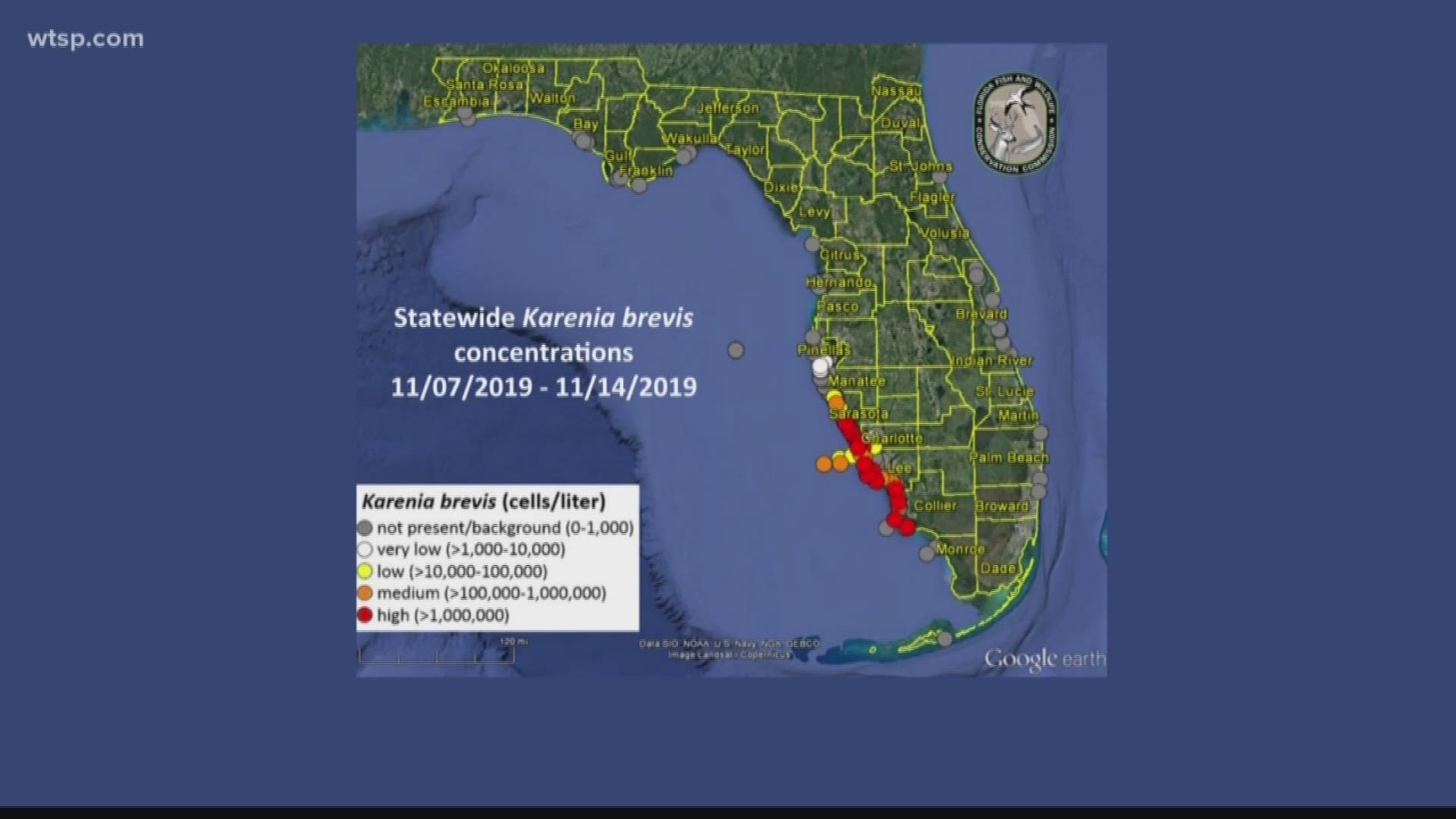 Red Tide Map Florida 2020 Red tide still present on gulf coast | wtsp.com