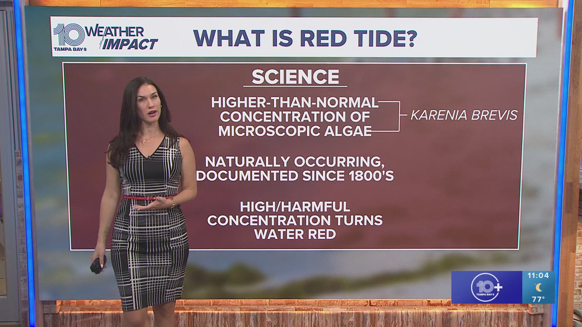 There have been no reports of respiratory irritation linked to red tide.