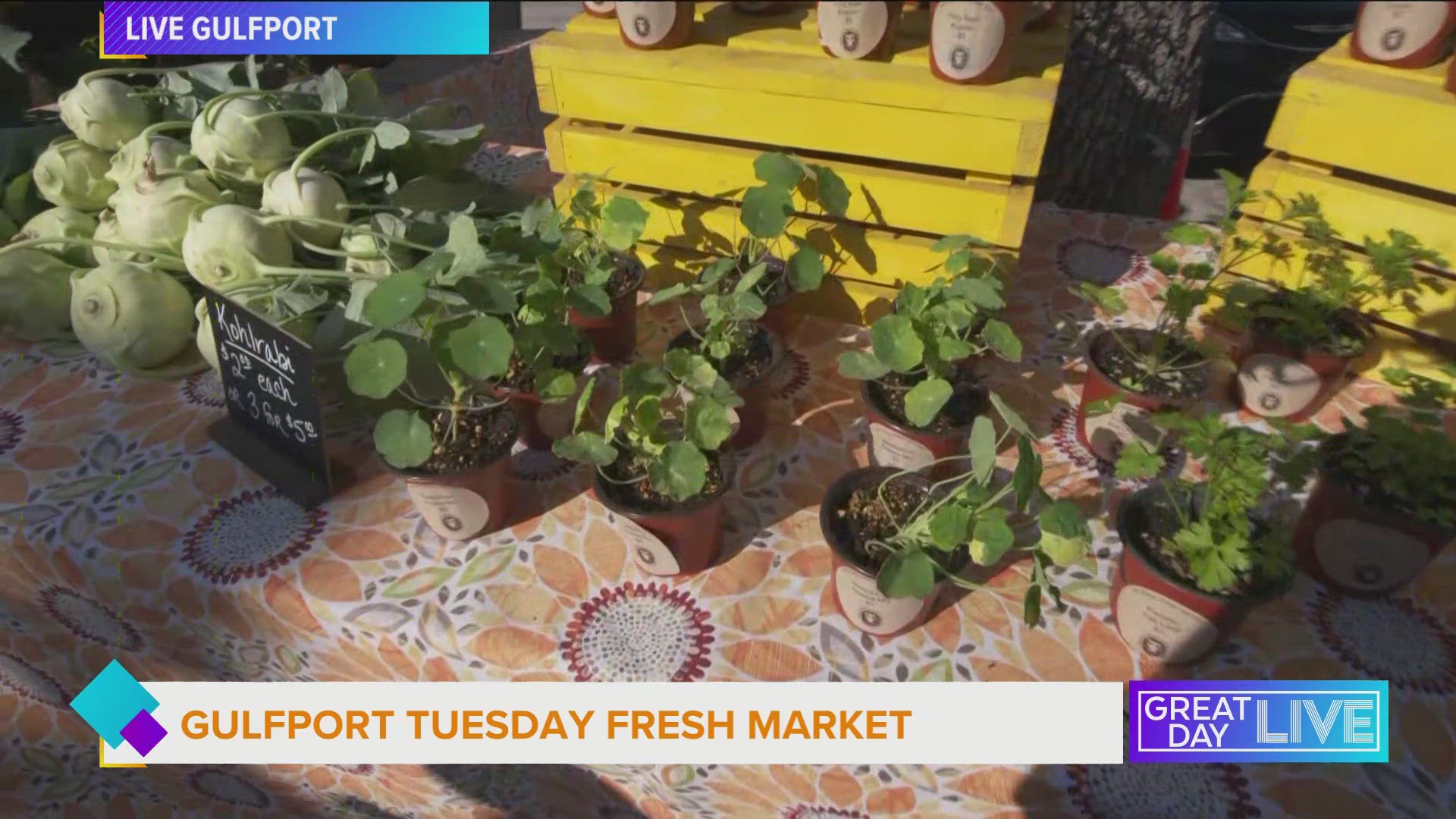 Java introduces us to two local vendors participating in the Gulfport Tuesday Fresh Market. For more information go to visitgulfportflorida.com/gulfport-fresh-market