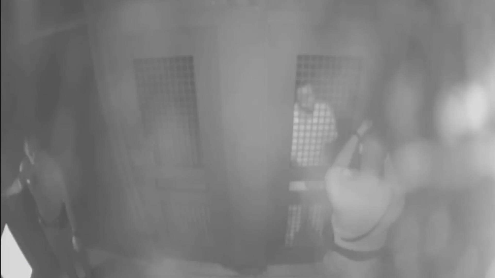 The Manatee County Sheriff's deputy resigned after video reportedly shows him punching an inmate. The sheriff's office said Deputy Louis Valentin resigned before an internal investigation could be completed.