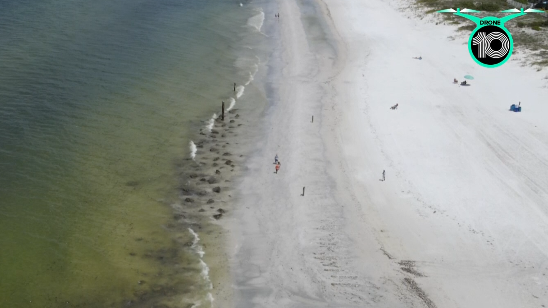 Red tide has severely impacted parts of the Tampa Bay area, causing millions of pounds of dead sea life to wash up along beaches.