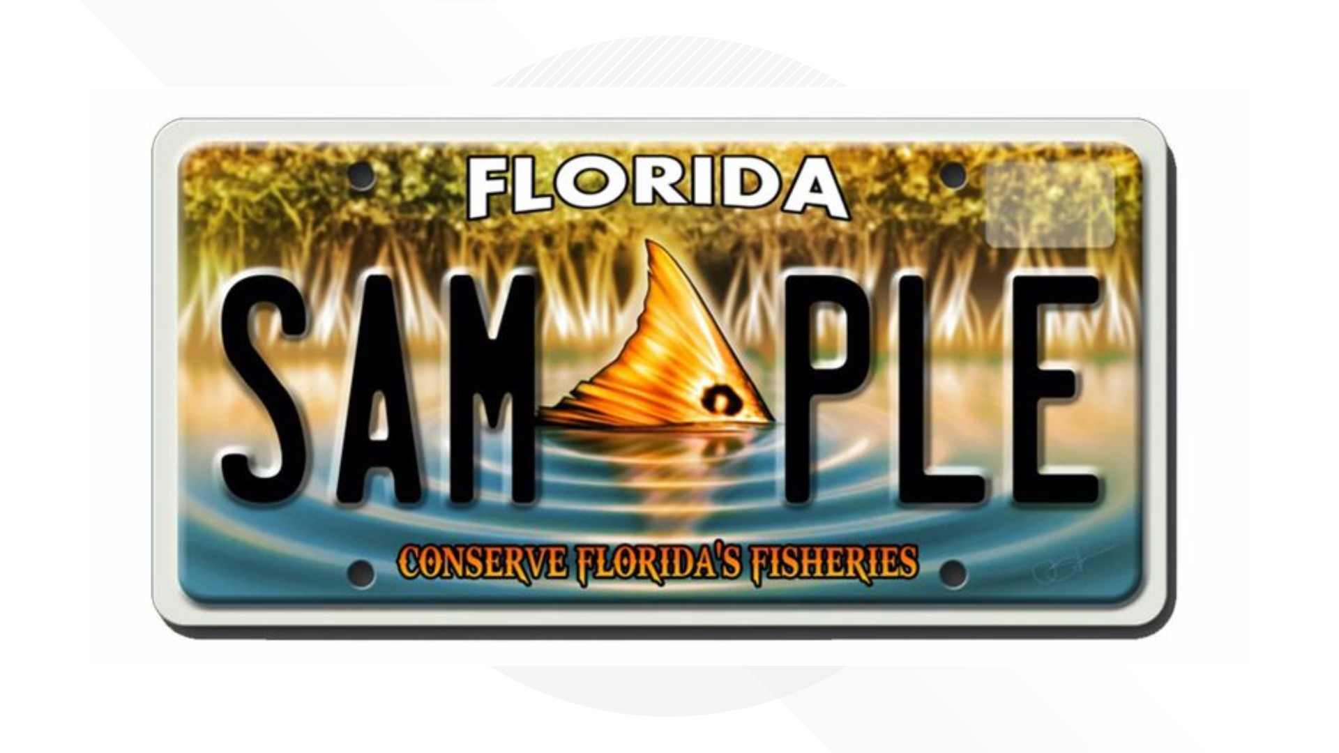 Where can I get the Florida fish license plates?