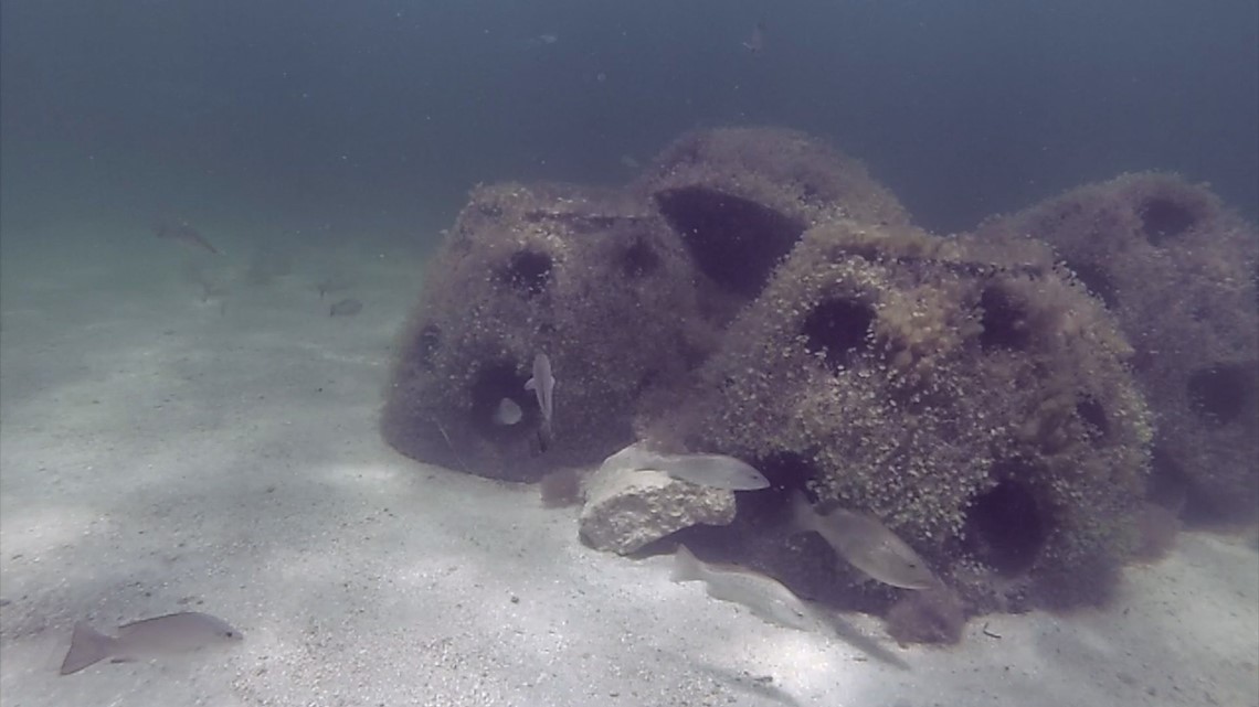 Artificial reef balls to be installed on Hernando County's coast | wtsp.com