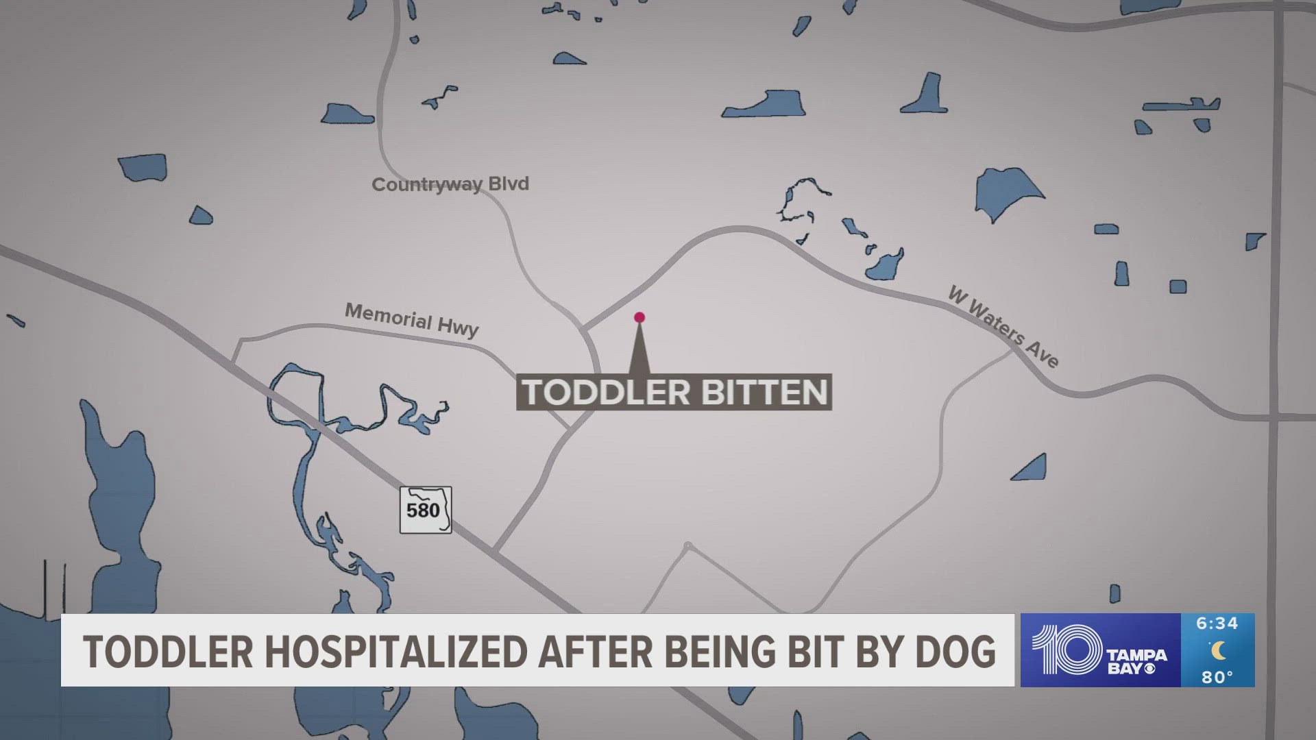 Law enforcement is investigating after a pitbull bit a child on Sunday morning.