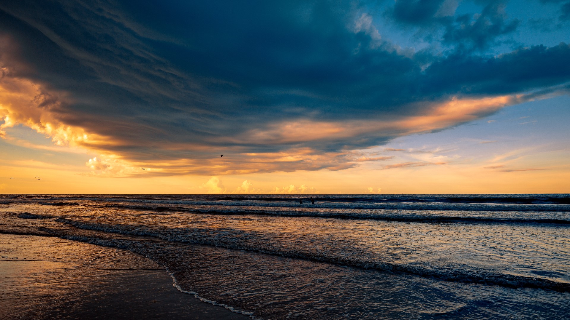 Shark bites surfer at Volusia County beach