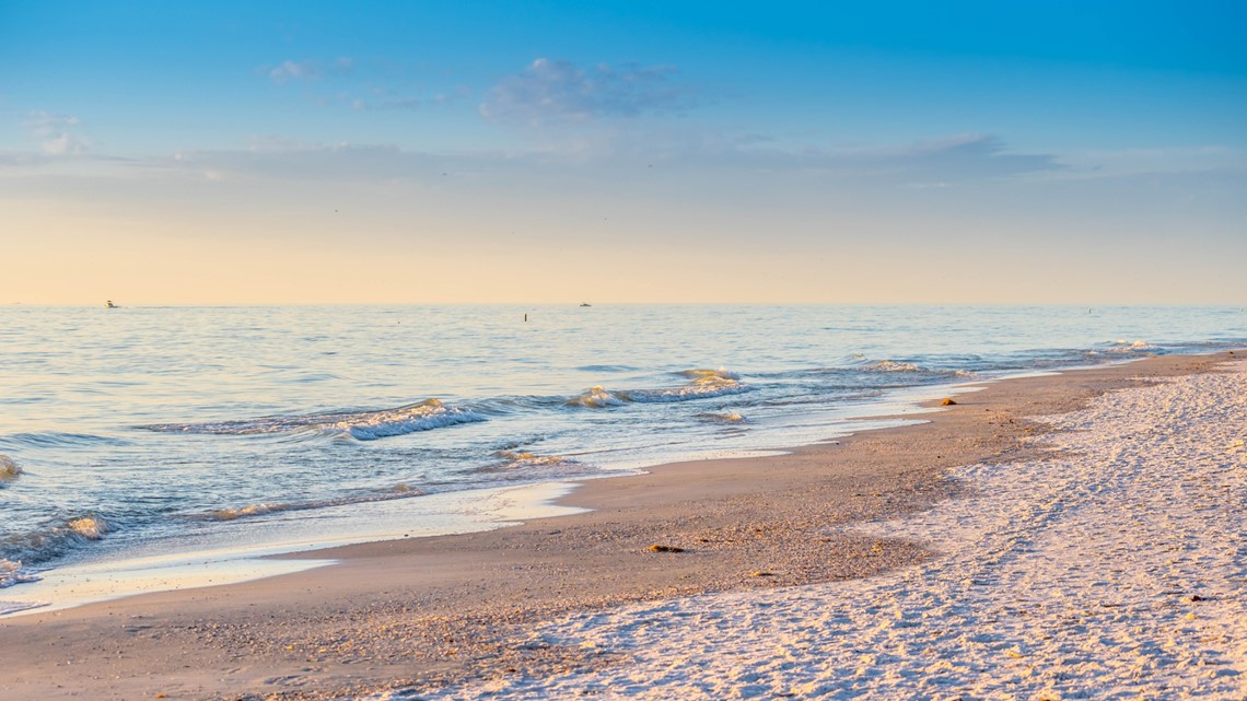 Red tide advisory issued for Longboat Key and Anna Maria Island wtsp com