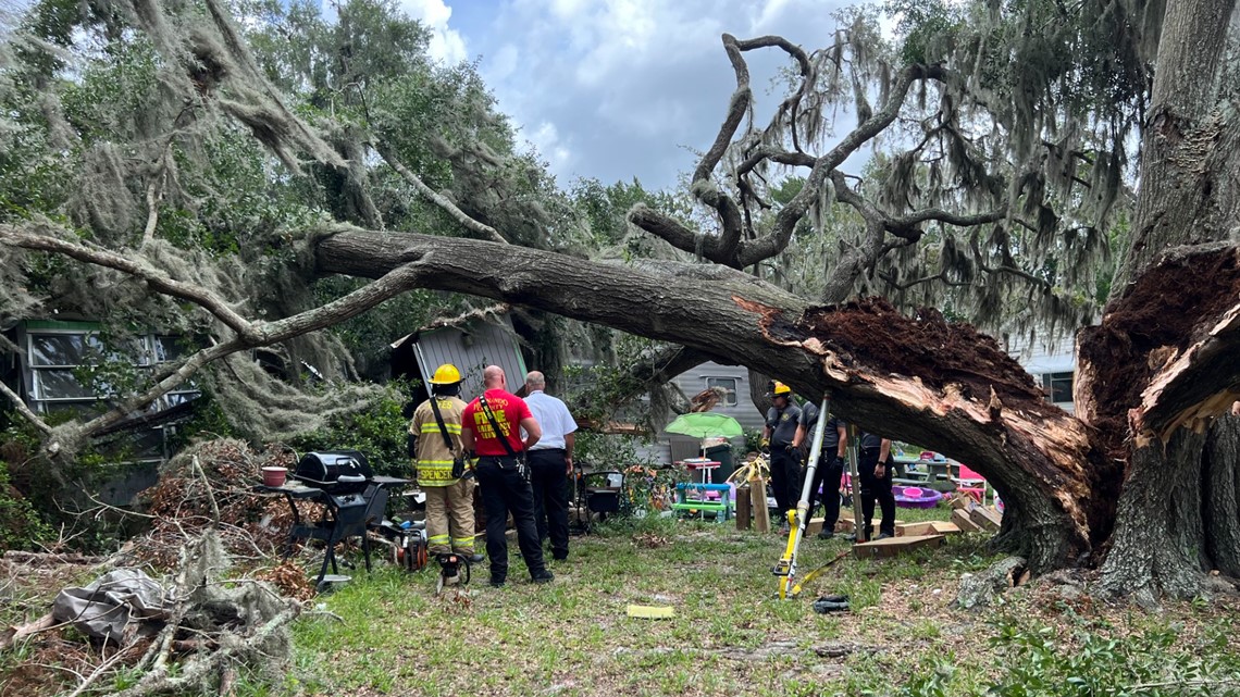 Weeki Wachee woman dies after tree falls onto mobile home | wtsp.com