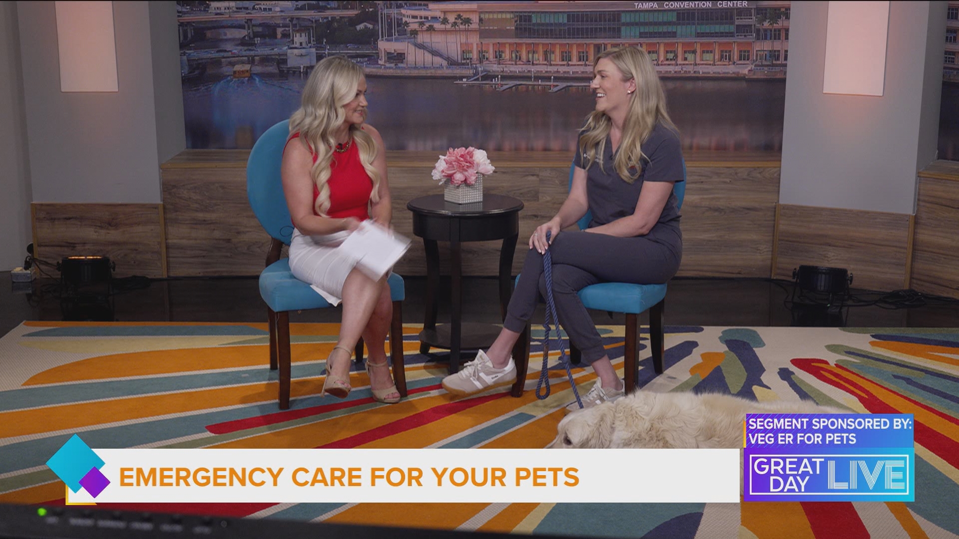 VEG ER for Pets Allows You Stay With Your Pet Throughout Treatment