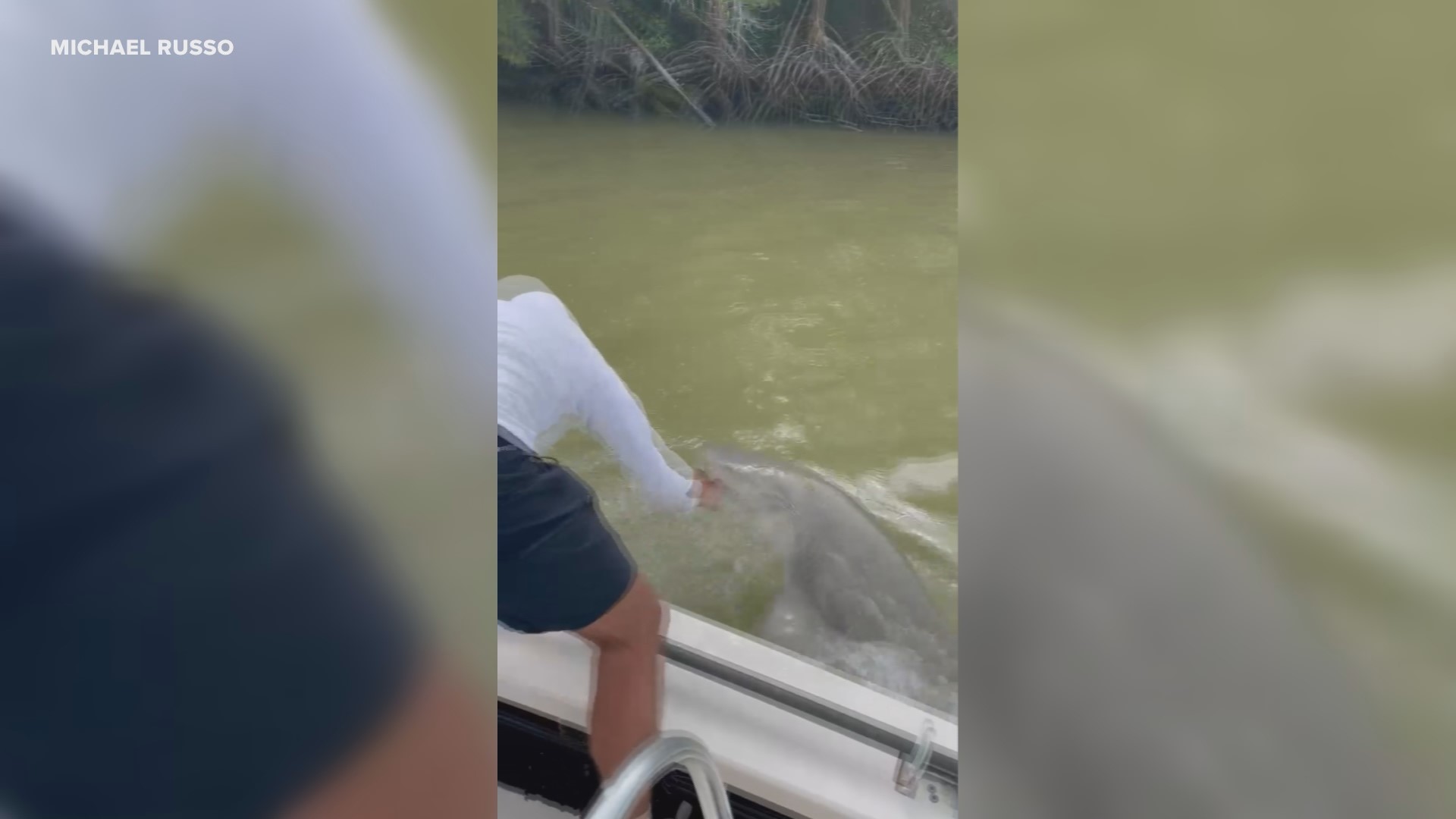 The man was fishing with friends when he stuck his hand in the water and was pulled into the water as the shark took a bite.
