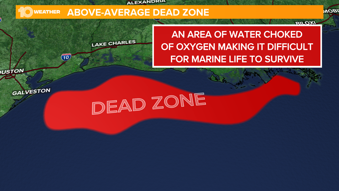 What is a dead zone?
