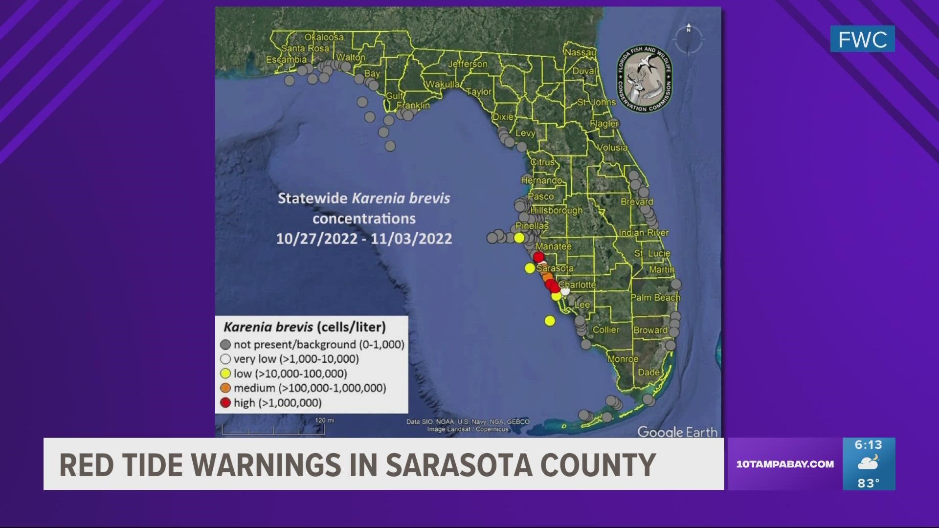 There have also been reports of fish kill suspected to be related to red tide in Sarasota County.
