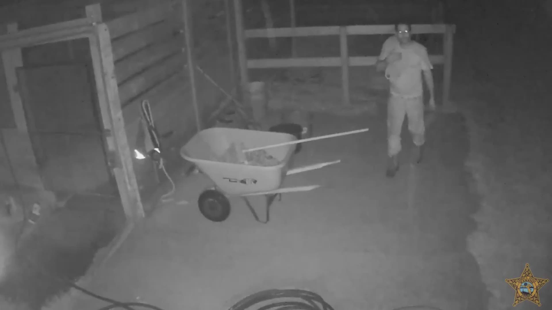 The Manatee County Sheriff's Office has released video of a "person of interest" seen walking up to stables where a horse was stolen and later slaughtered.