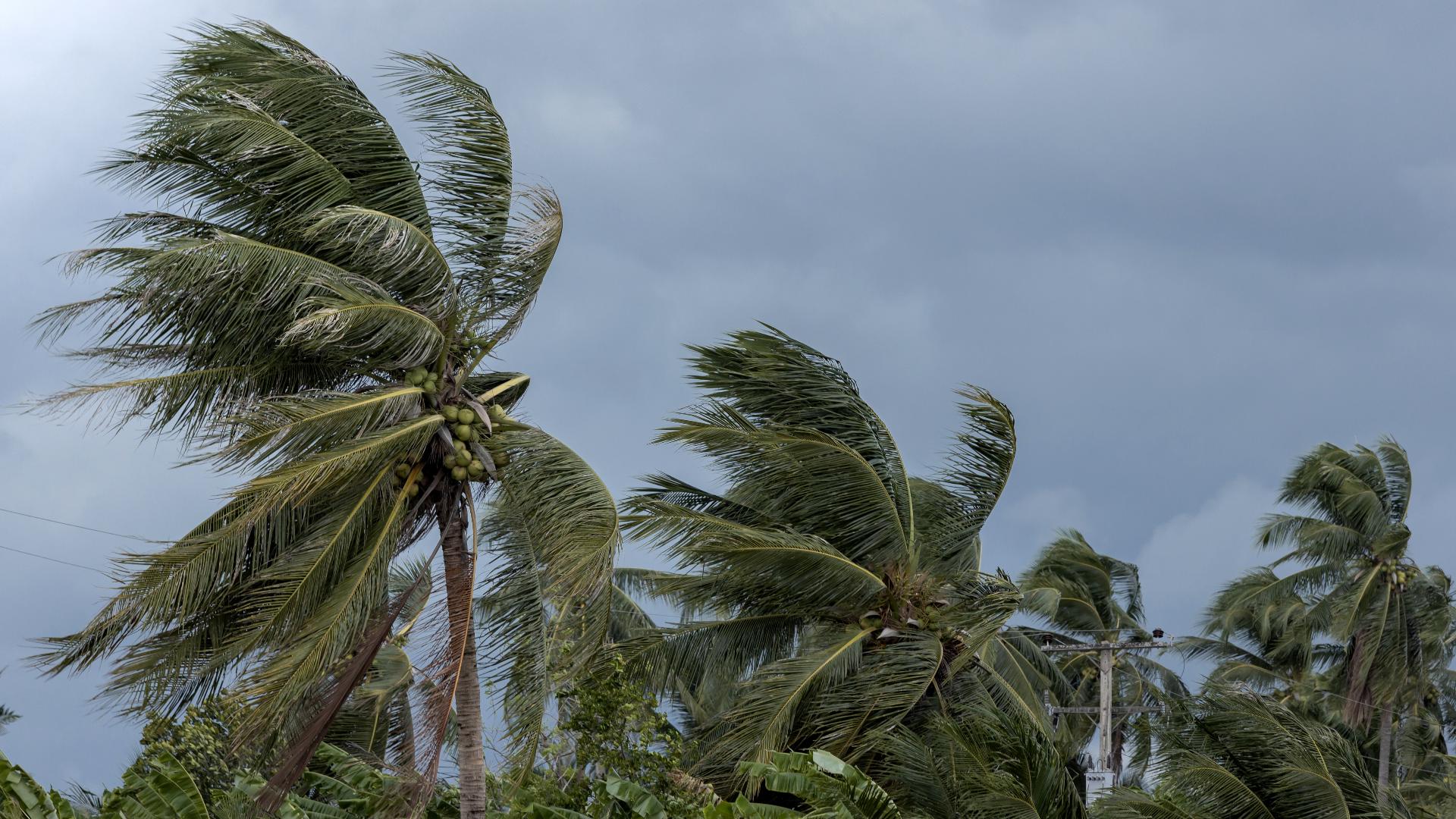 Hurricane season 2026: Key terms you need to know in Florida | wtsp.com