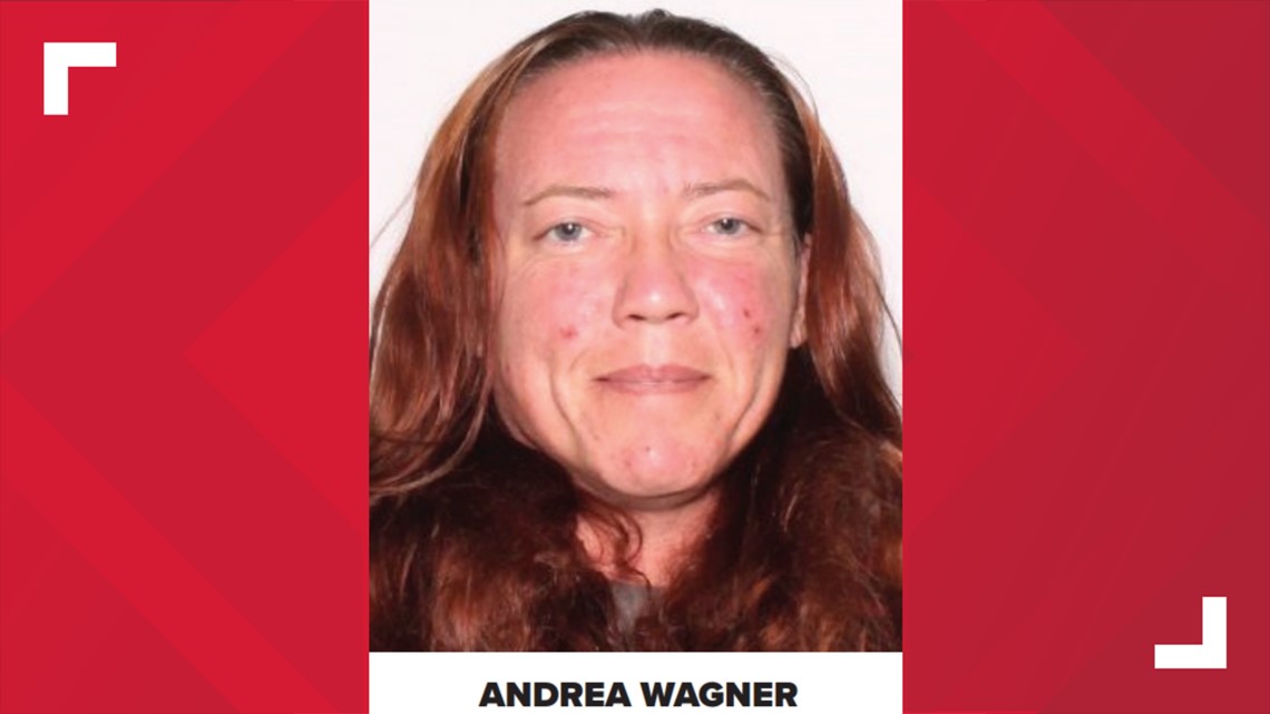 Pinellas construction investigator charged with corruption - Vimarsana News